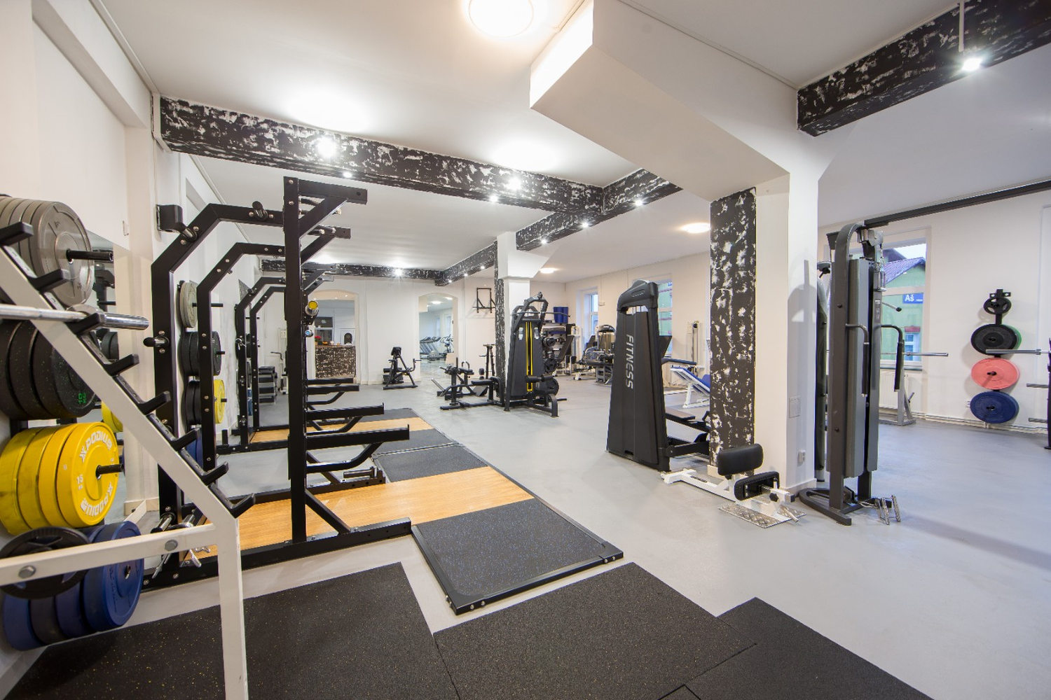 Silová část The Gym Aš s dřepovacími stanovišti a stroji